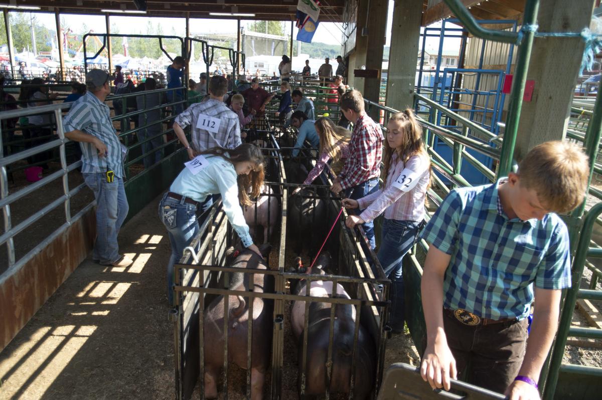 Coos County Fair opens up first entrance car show Local News