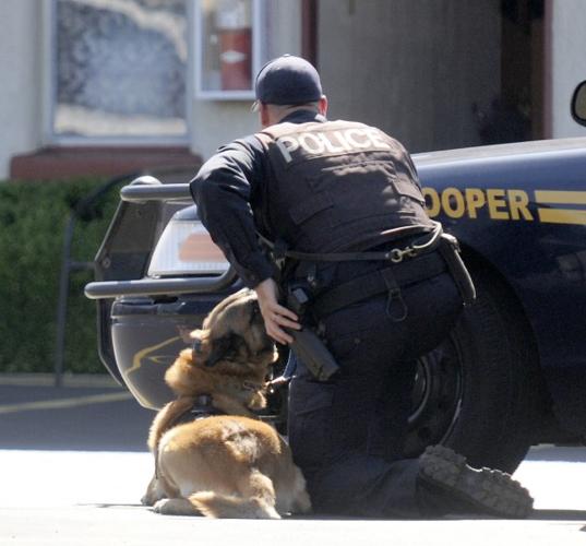 Reedsport Police Standoff Photo Collections