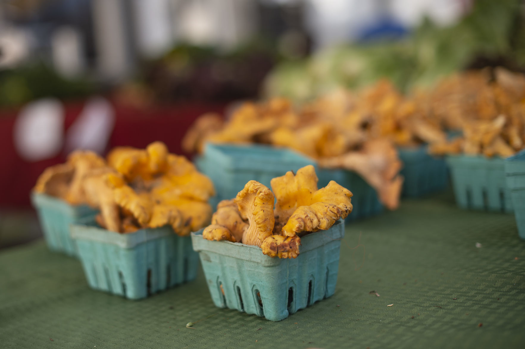 Downtown Coos Bay Farmers Market season is coming to an end