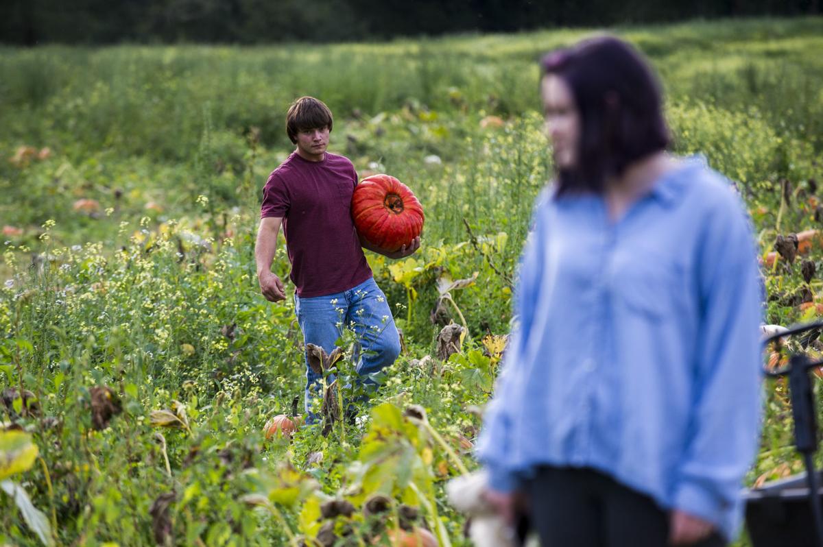 Mahaffy Ranch kicks off its fall harvest celebration with annual