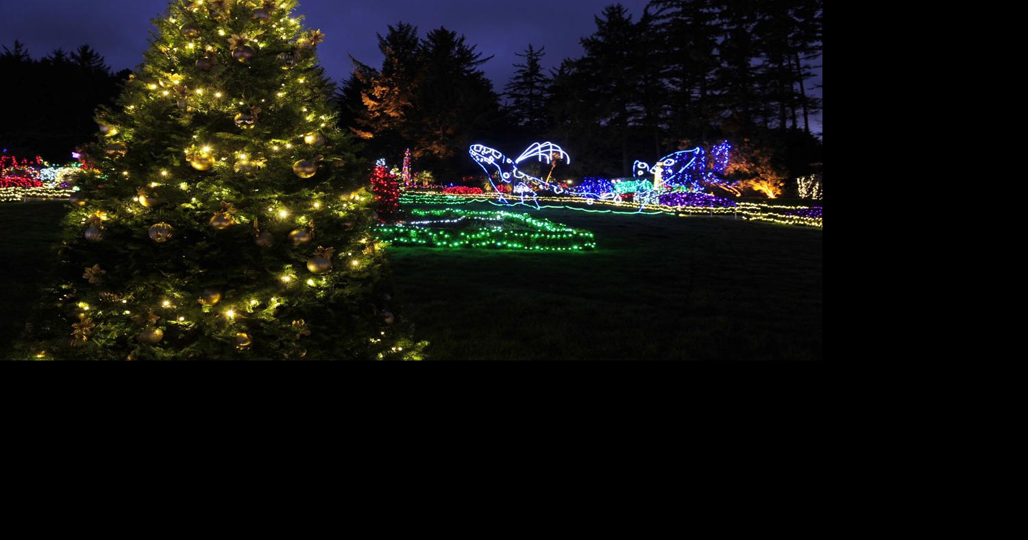 Shore Acres Lights Photo Collections