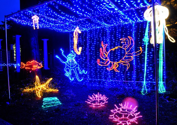 Holiday Lights at Shore Acres State Park | Photo Collections ...