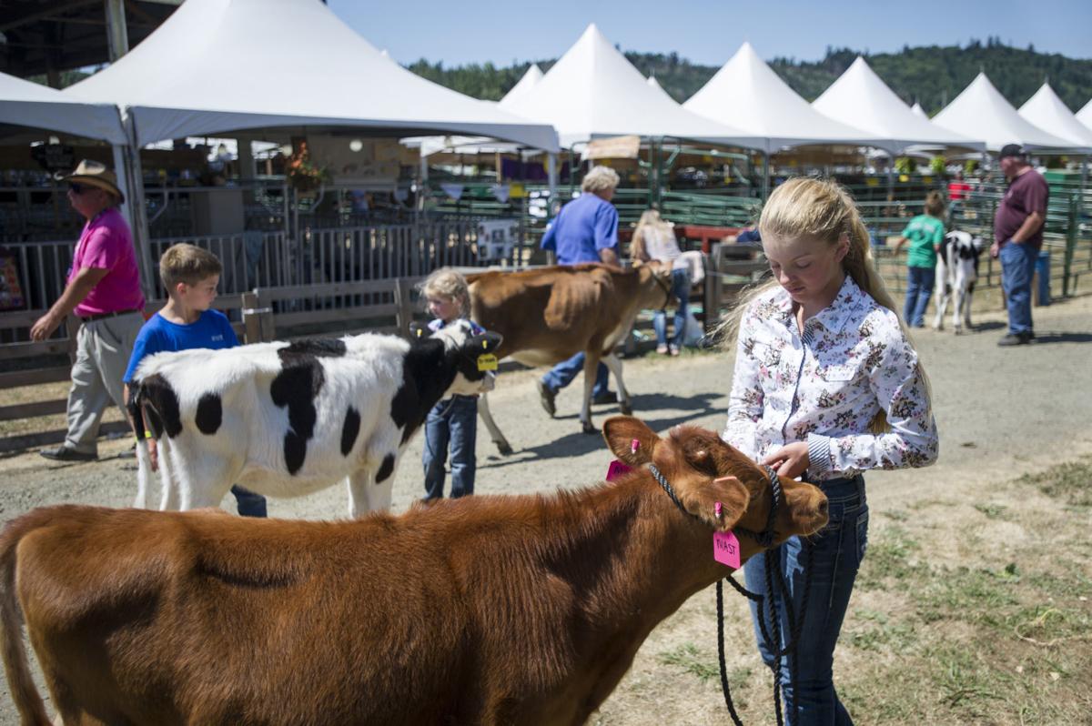 Coos County Fair Photo Collections