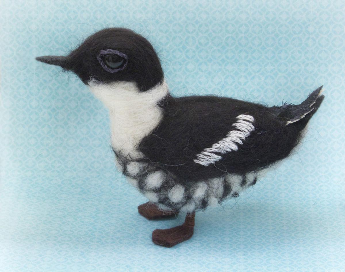 Odfw Commissioners Vote To Not List Marbled Murrelet As Endangered Local News Theworldlink Com