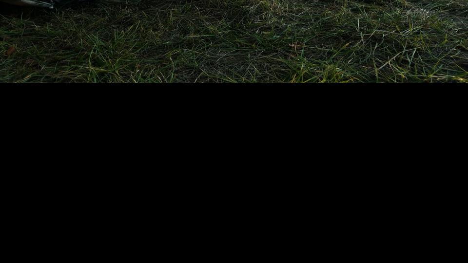 Coquille man dead, six others injured after crash on Highway 42 Local