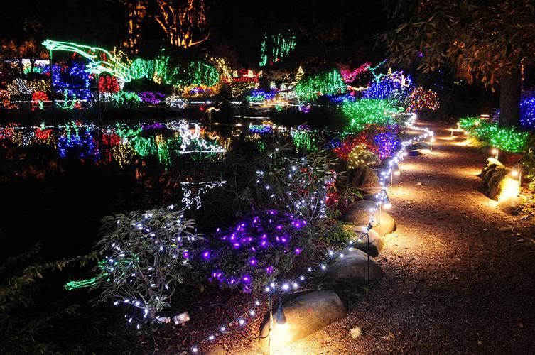 Shore Acres Lights Photo Collections