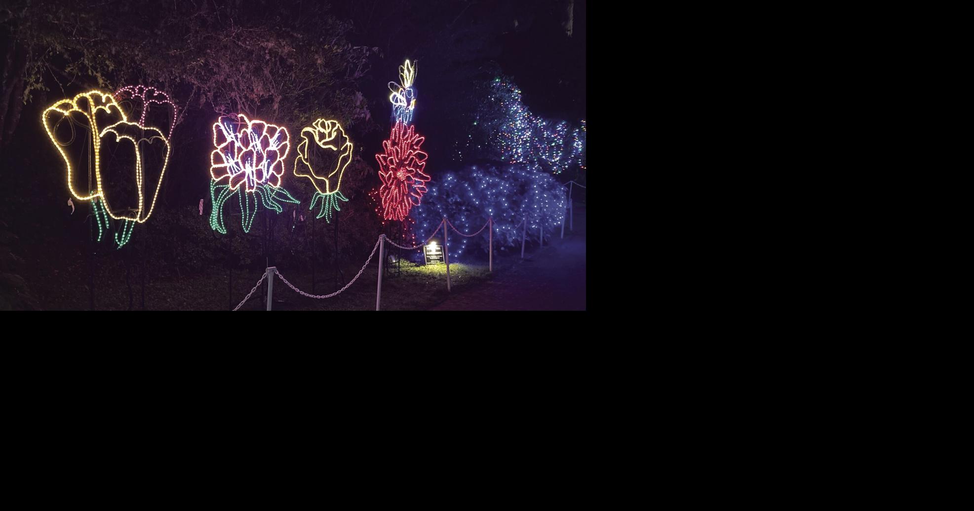 Photos Shore Acres lights up for the holidays Local News