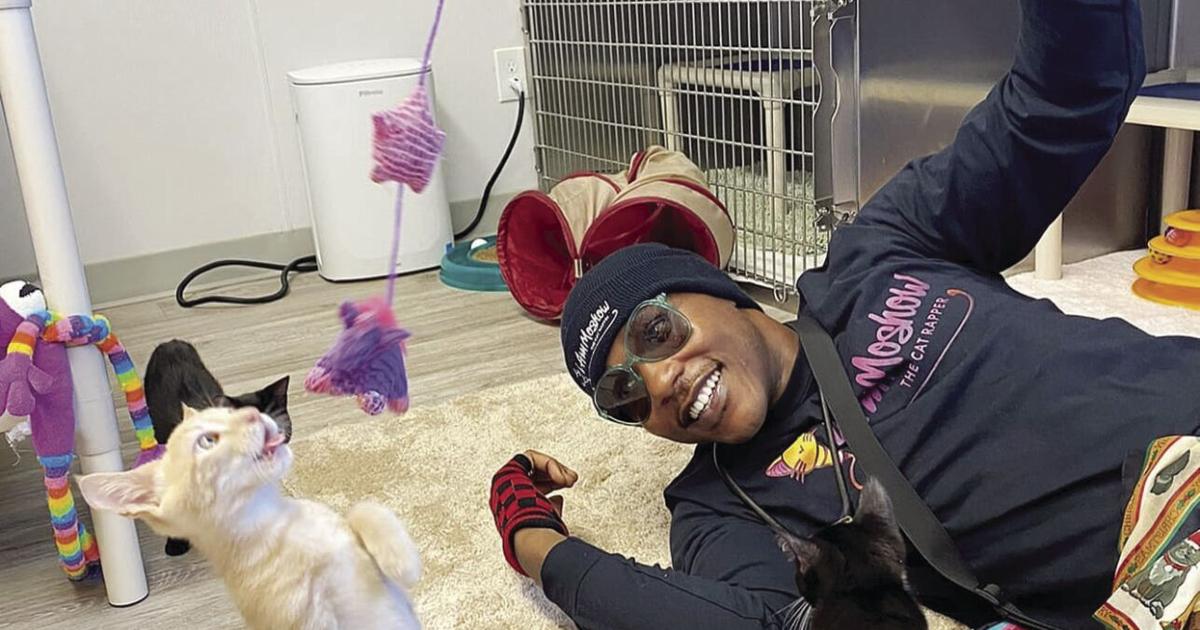 Moshow the Cat Rapper coming to Oregon Coast Humane Society | Local ...