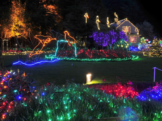 Holiday Lights at Shore Acres State Park | Photo Collections ...