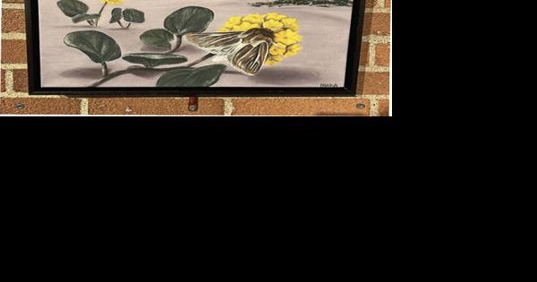 Photos: Spectacular marine inspired art from across the country now on display - Vimarsana News