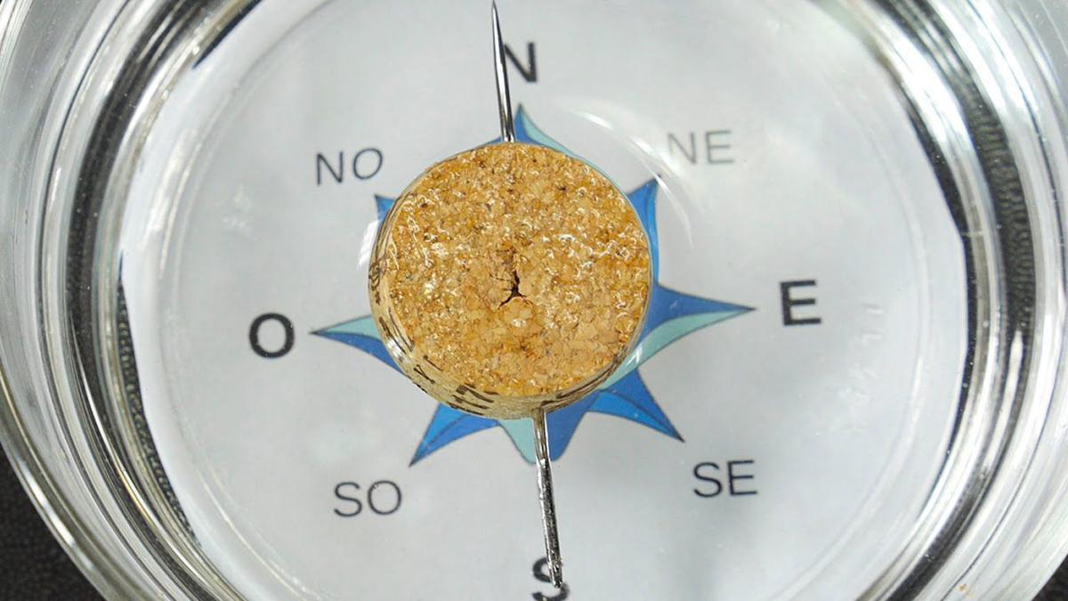 Teach kids to make a compass South Coast