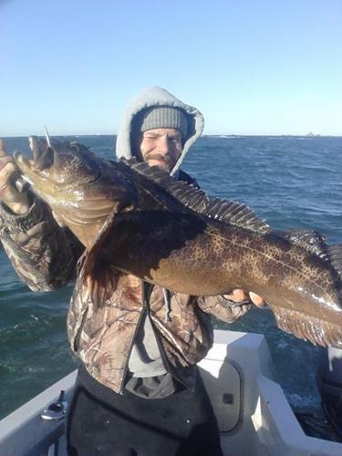 Lingcod a tasty change from turkey, Lifestyles