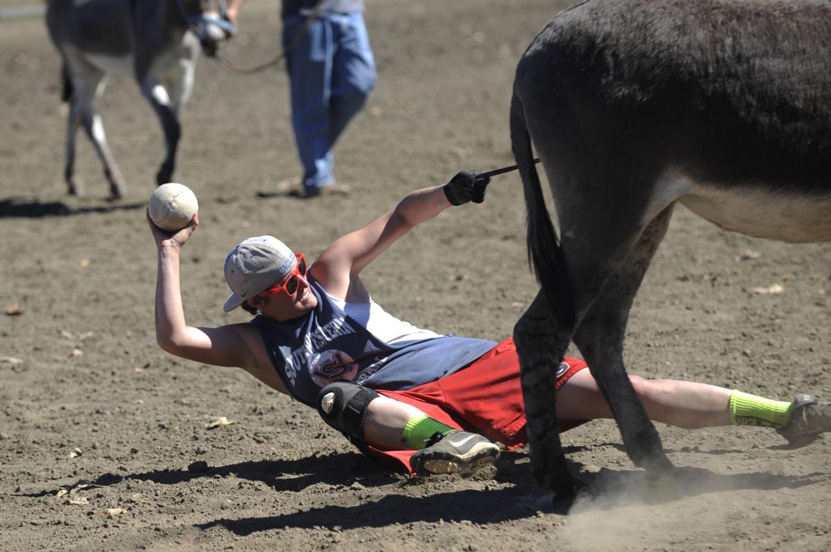 Donkey Baseball Galleries