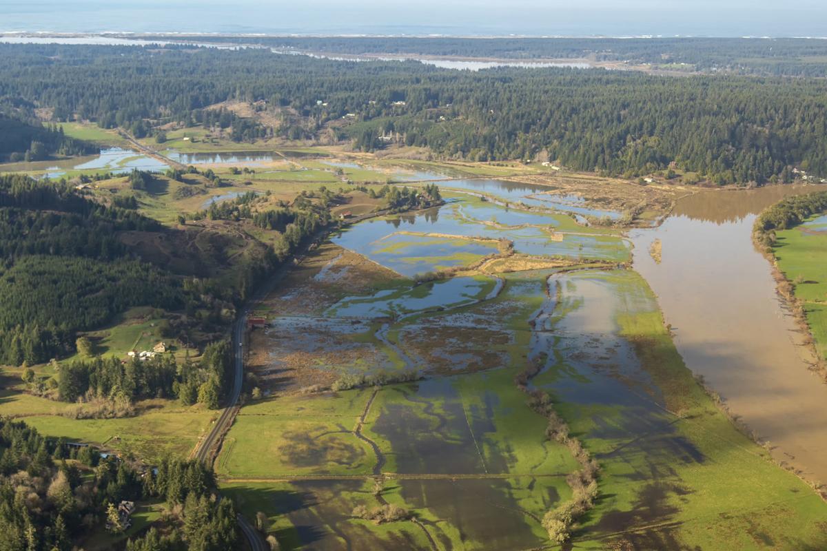 King Tide Photos Requested For Comparative Study Local News Theworldlink Com