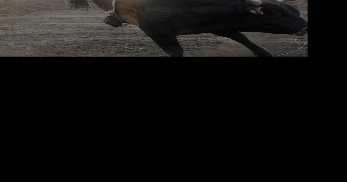 The Coos County Fair Rodeo Photo Collections