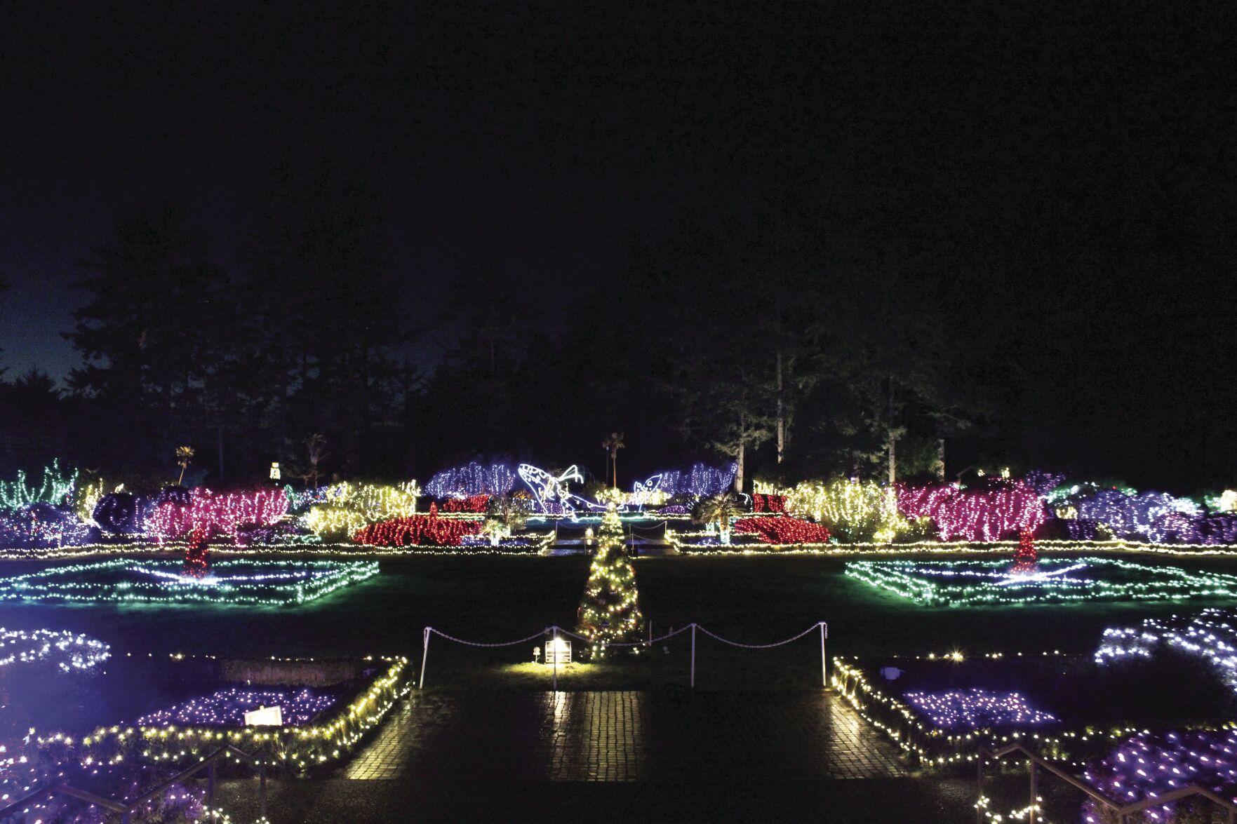 Shore Acres’ Holiday Lights begin their 37th Year Local News