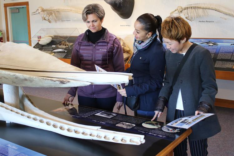 Southwestern ESL students translate guides for Charleston Marine Life