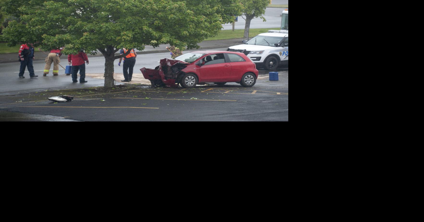 Man crashes into tree after falling asleep at the wheel | Local News ...
