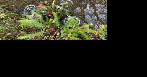 Stolen dirt bikes recovered - Vimarsana News