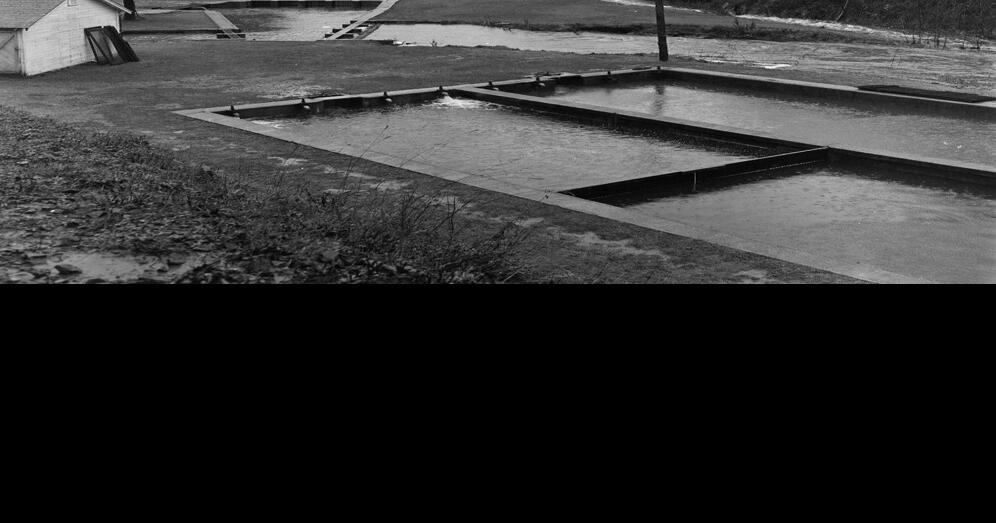 As I See It Fish hatchery opens Bandon News