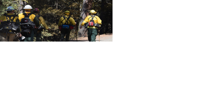Wildfire Prevention: $661,720 coming to Oregon - Vimarsana News