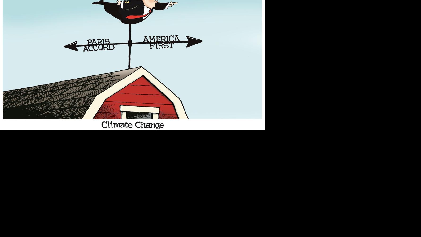 Weather vane Opinion