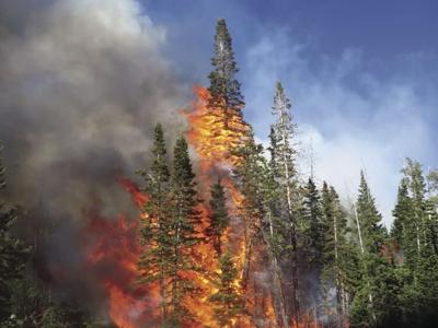 Wildfire season