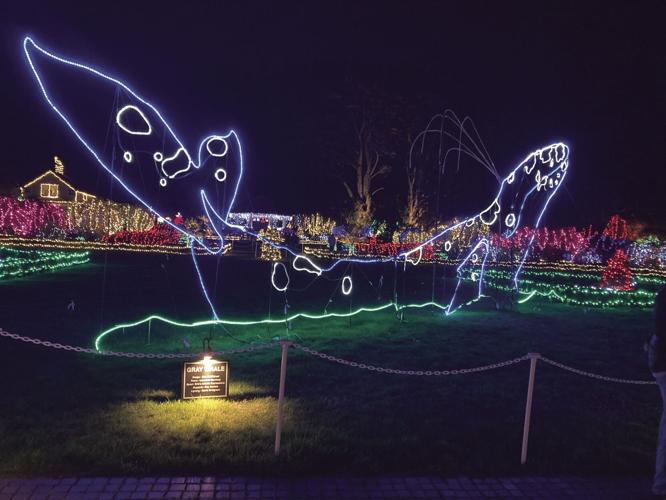 Photos Shore Acres lights up for the holidays Local News