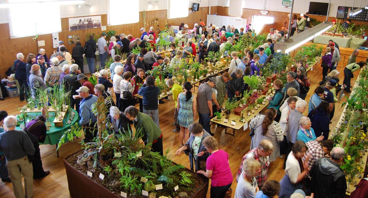 Only in Oregon, Glide Wildflower Show News