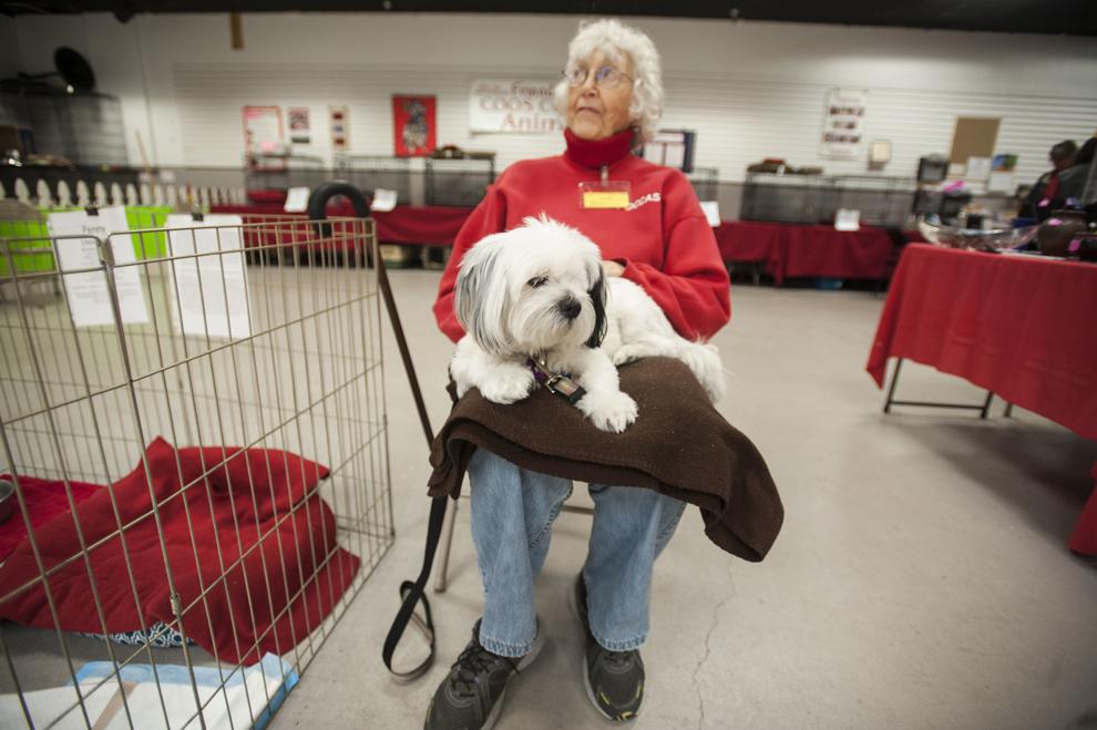 Friends of Coos County Animals pair pets with forever homes Local News