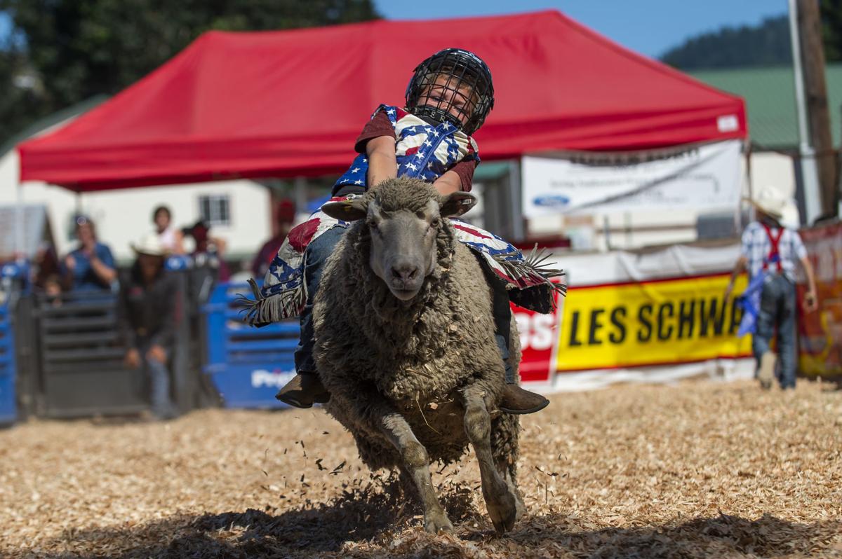 2019 Coos County Fair & Rodeo wraps up Local News