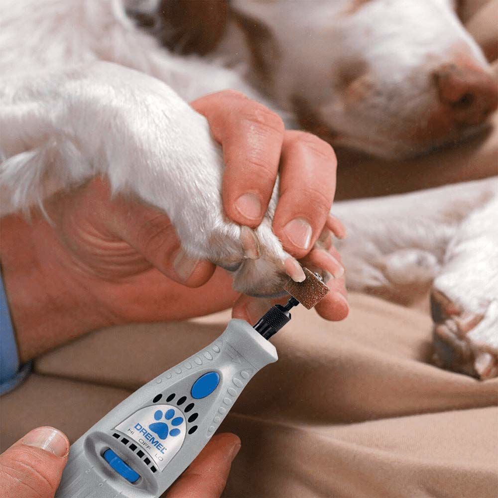 This cordless tool will help you groom your dog s nails like a pro Lifestyles theworldlink