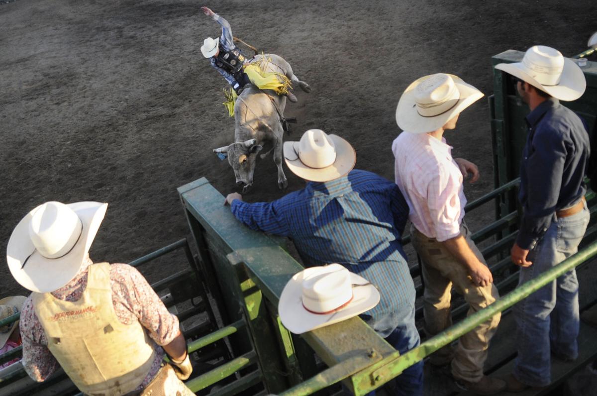 Rodeo at the Coos County Fair Galleries