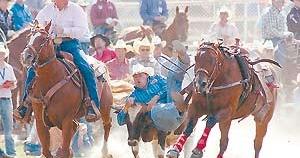 why do cowboys chew tobacco Cowboys miffed over chewing tobacco ban | Local News