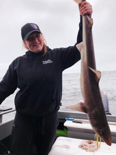 Spiny Dogfish pack a small wallop, Outdoors