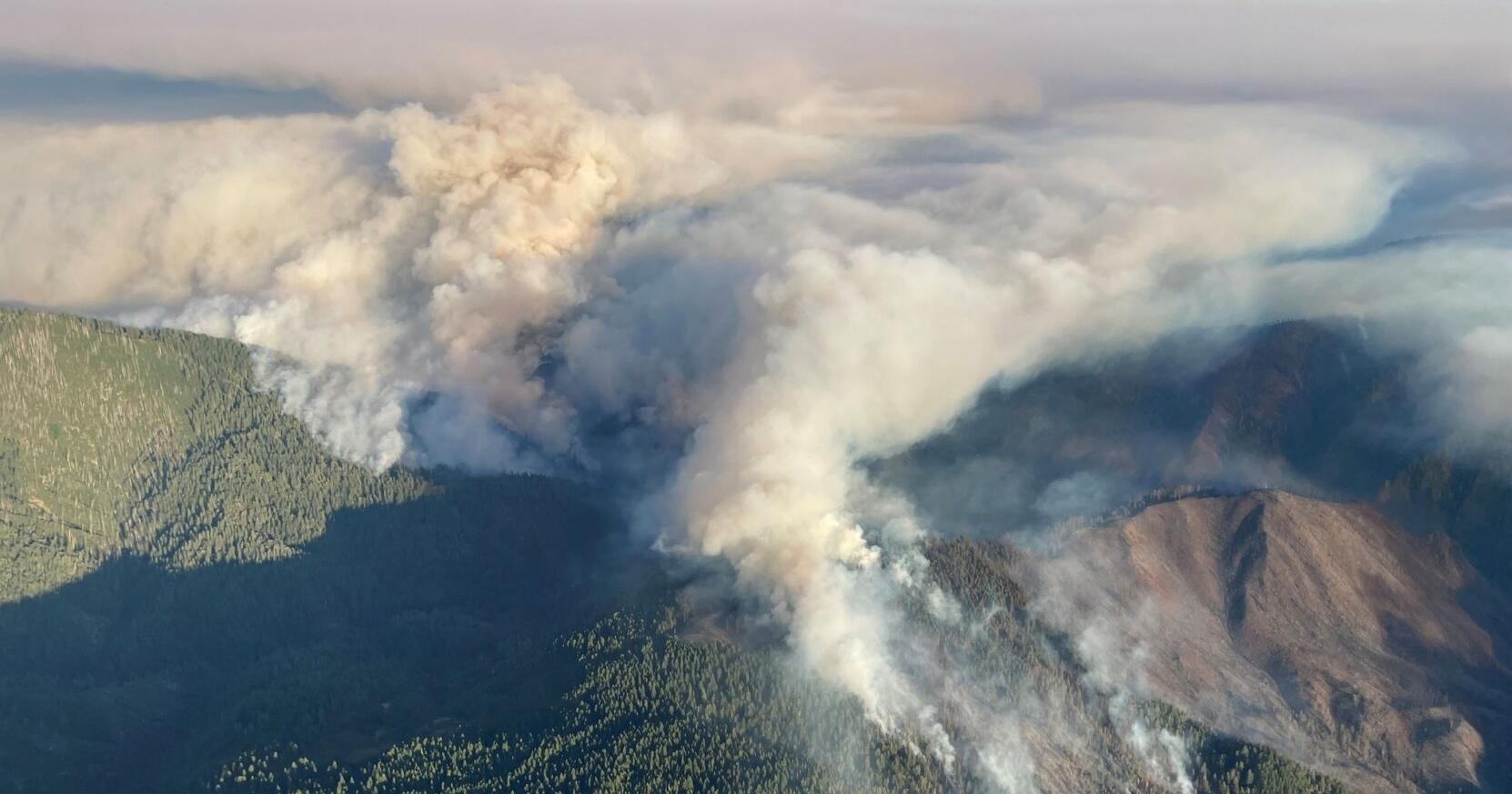 Wildfire Season: ODF reports 'significant increase' in human-caused fires - Vimarsana News