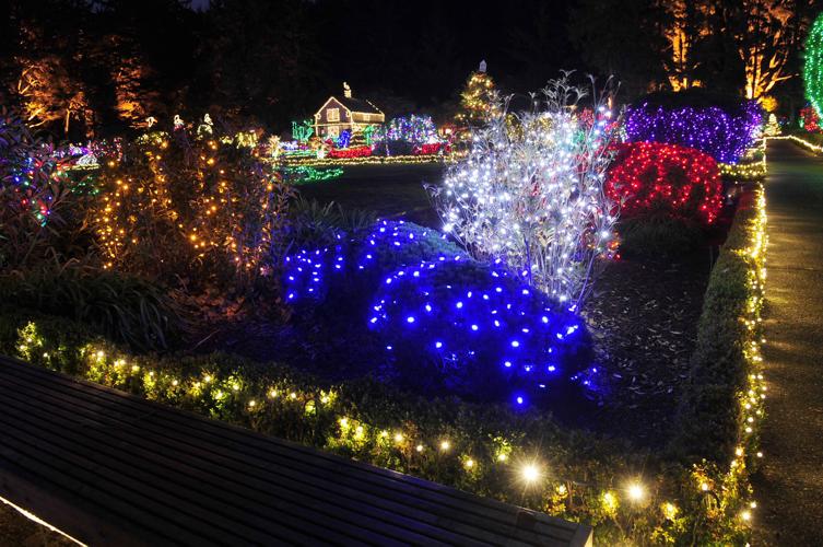 Shore Acres Lights Photo Collections