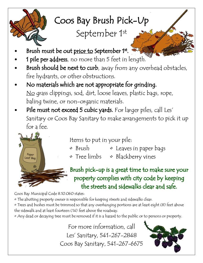 Coos Bay free brush pickup begins Sept. 1 Local News
