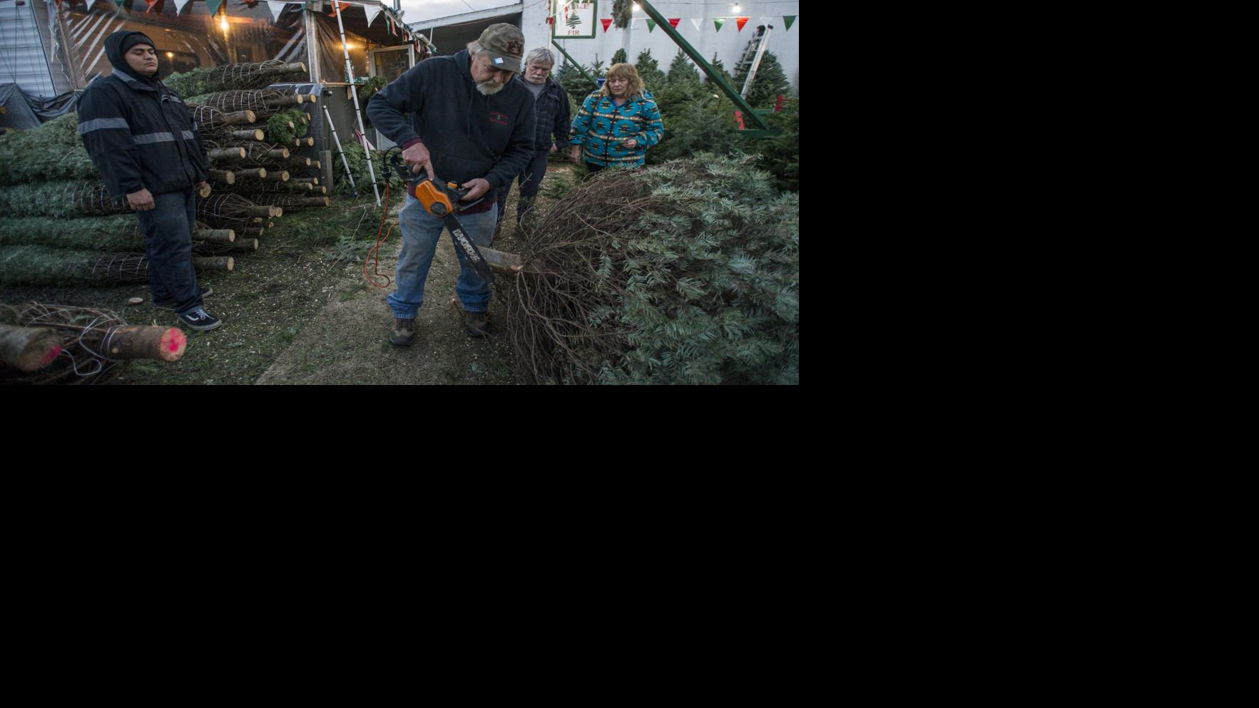 Coos County Christmas Tree Lots Feel Effects Of Industry Shortage Price Hikes Local News Theworldlink Com