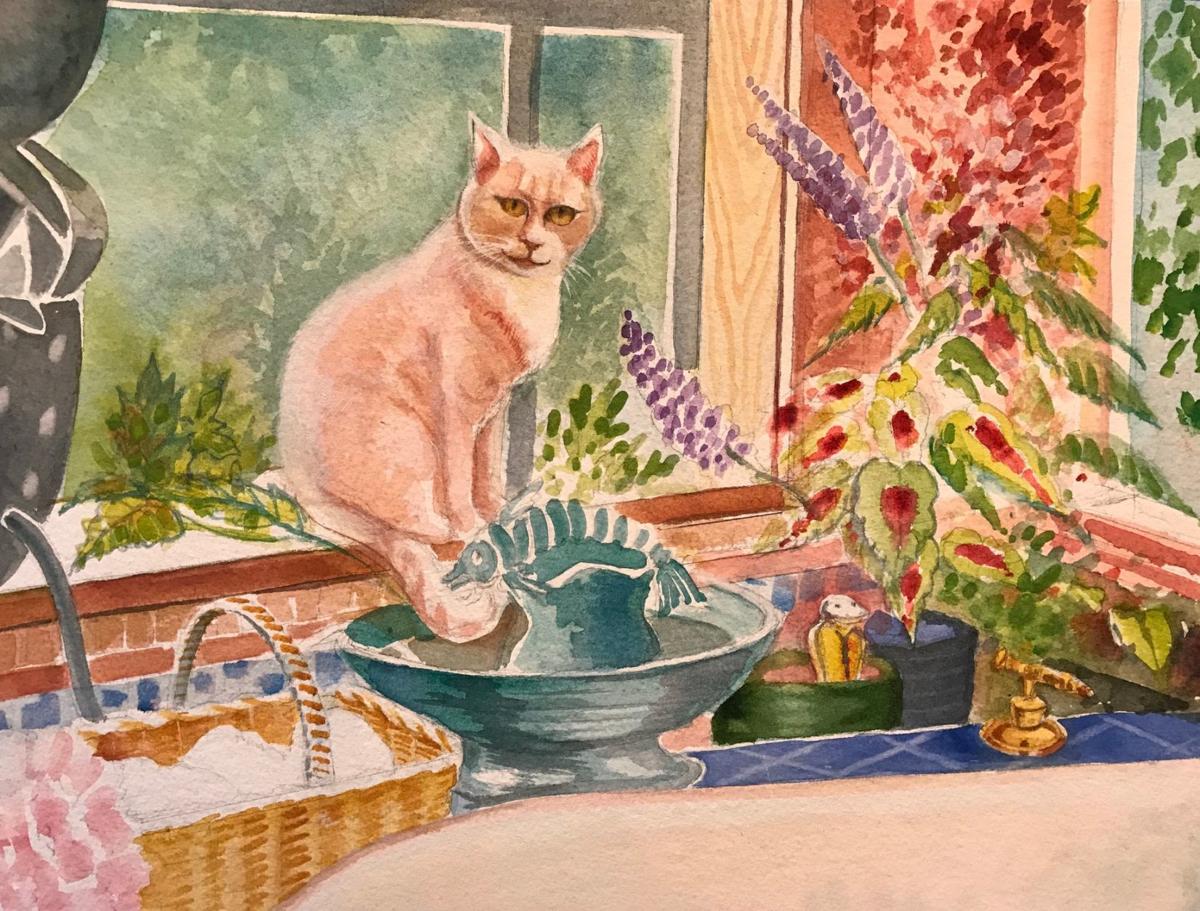 Cat Inspires Illustrated Children S Book Entertainment