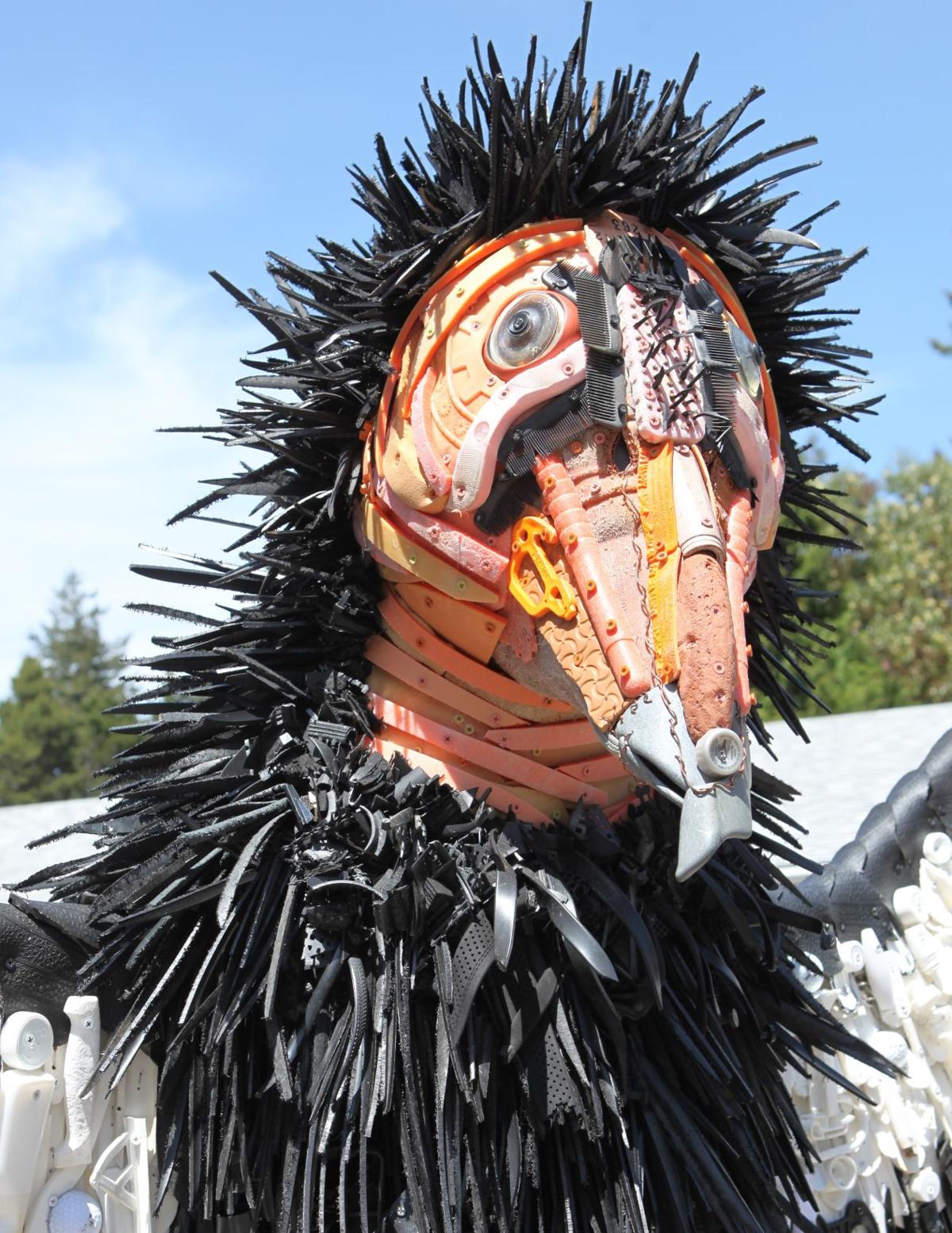 Washed Ashore California Condor Headed To Oregon Zoo Bandon News