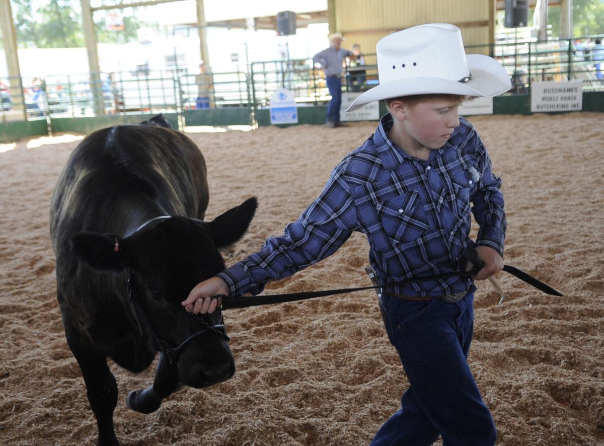 Coos County Fair Day Three Photo Collections