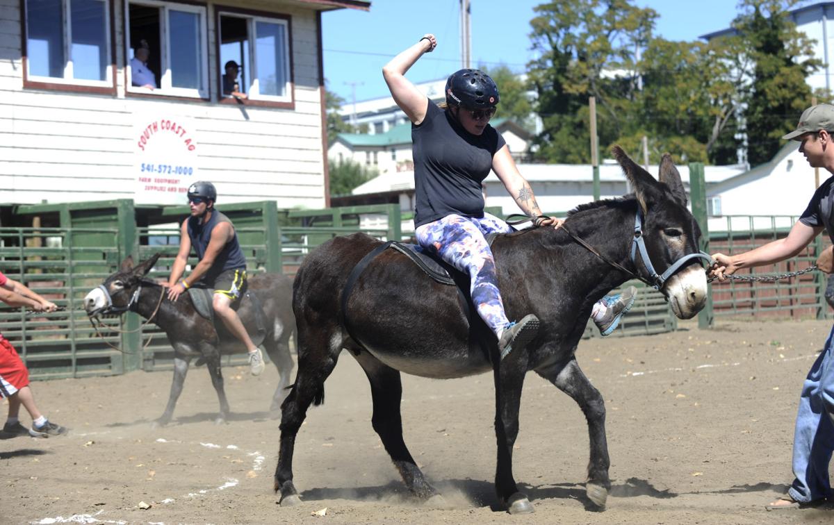 Donkey Baseball Galleries