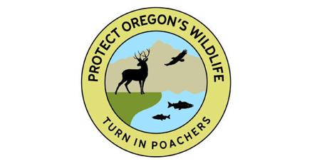 New Campaign: Protect Oregon's Wildlife - Turn In Poachers | Local News - Vimarsana News