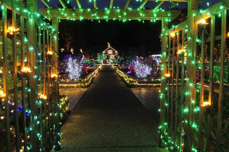 Shore Acres Lights Photo Collections