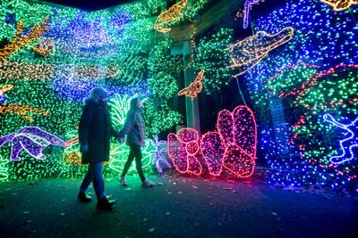 ZooLights' walk-through winter wonderland is back | Local ...