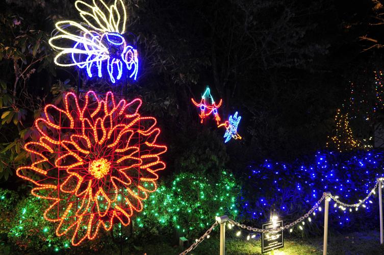 Shore Acres Lights Photo Collections