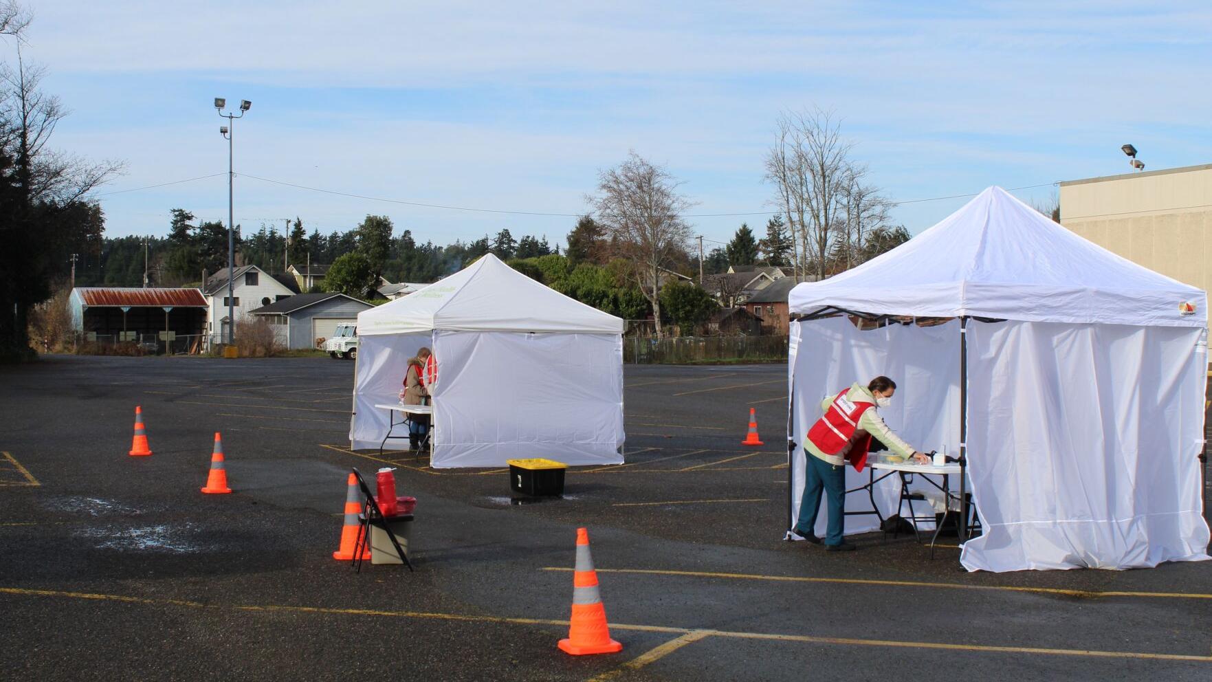 Flu shots offer test drive of local vaccine plan - Vimarsana News