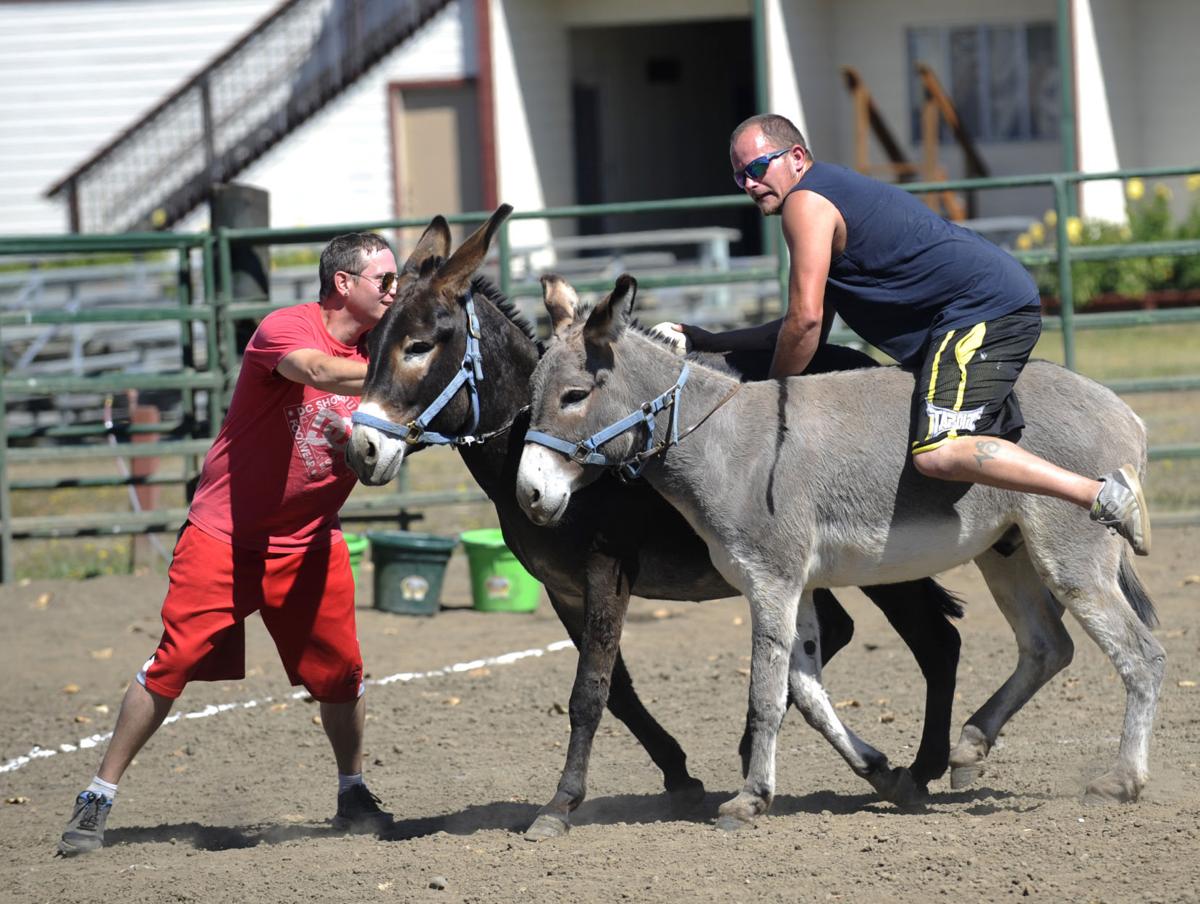 Donkey Baseball Galleries
