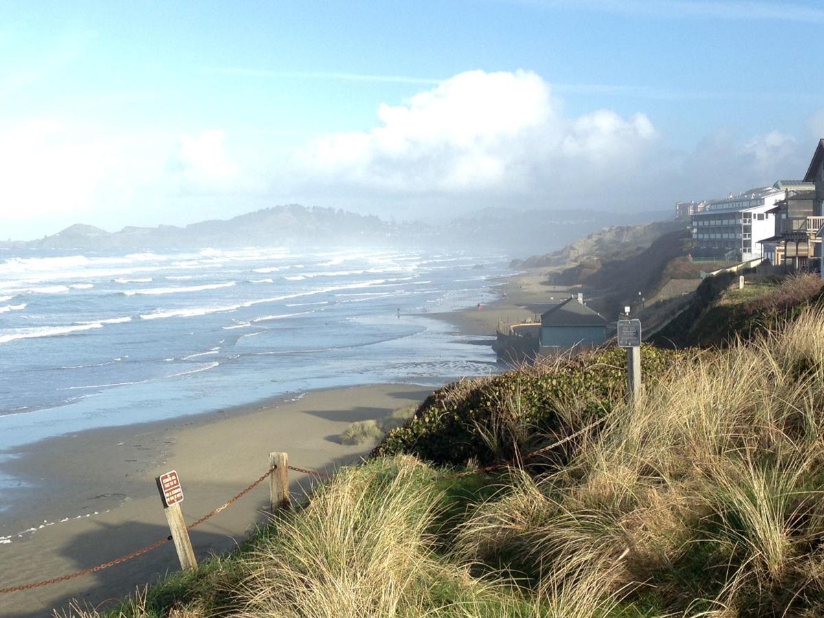 Anyone Can Participate In The King Tide Project Bandon